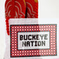 Buckeye Nation (Ohio State)